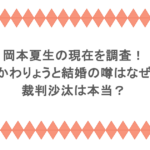 岡本夏生の現在を調査！ふかわりょうと結婚の噂はなぜ？裁判沙汰は本当？