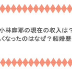 小林麻耶の現在の収入は？おかしくなったのはなぜ？結婚歴も調査